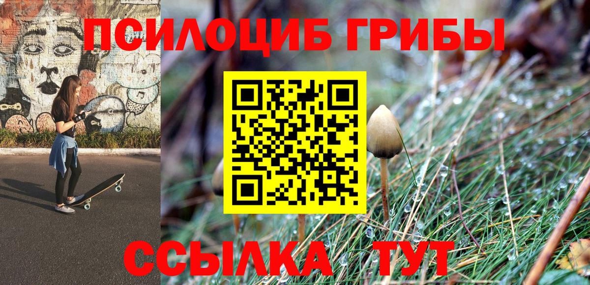 Ишимбай  купить   Вход с VPN  Псилоцибиновые грибы Psilocybine cubensis 